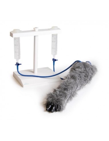 Perna de cão para simulação de...