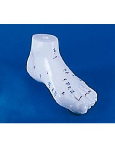 Pé de treino de acupunctura chinesa...