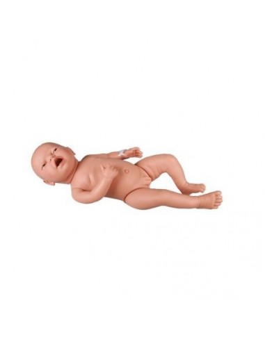 Erler Zimmer BA72 Manequim Neonatal...