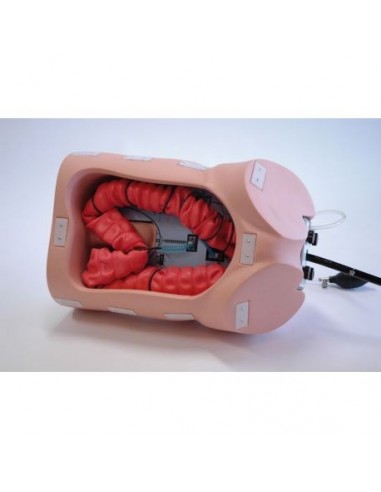 Modelo de simulador médico para...