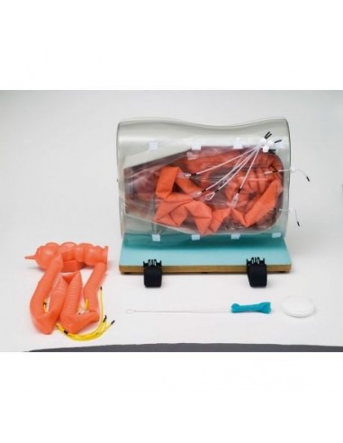 Modelo de simulador médico - Formação...