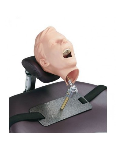 Manequim de radiologia dentária em et