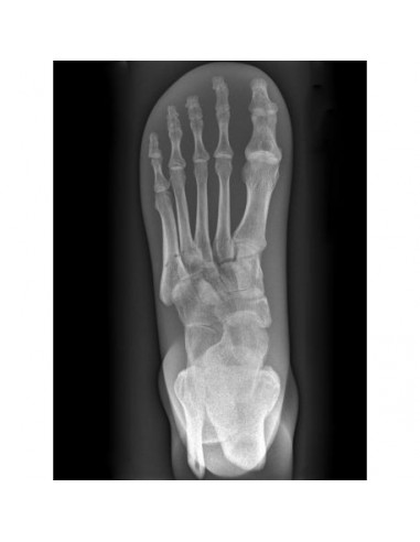 Simulador de radiologia - Erler...