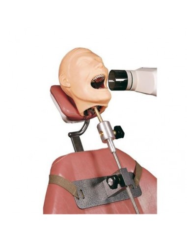 Boneco de simulação médica para...