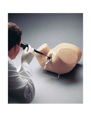 Simulador de ginecologia para treino...