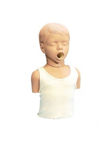 Erler Zimmer R10040 Torso de treino...