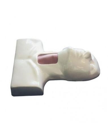 Simulador médico Erler Zimmer R10095...