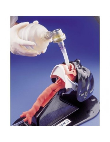 Erler Zimmer R18100 boneco de treino...