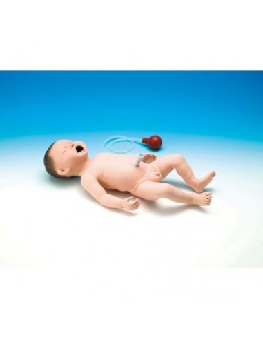 Erler Zimmer LM89 Manequim de treino...