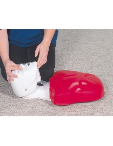 Basic Buddy, simulador de treino de...