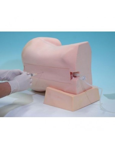 Simulador de injeção epidural e...