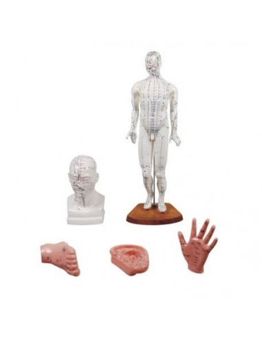 Kit de formação em acupunctura,...