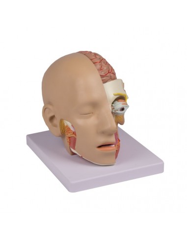 Cabeça de desmontagem de 4 peças...