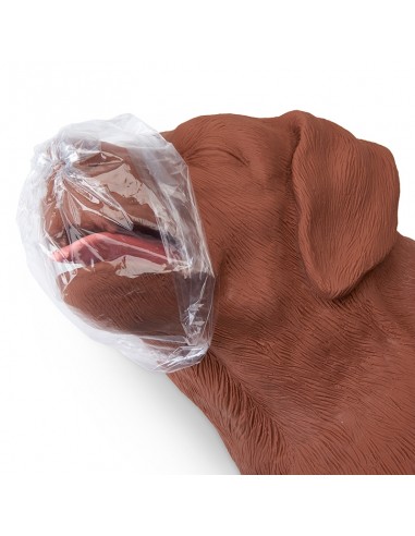 CasPeR, boneco de reanimação canina...