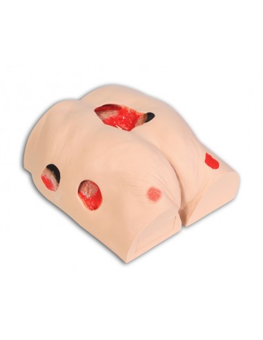 Erler Zimmer R10073 Simulador de...