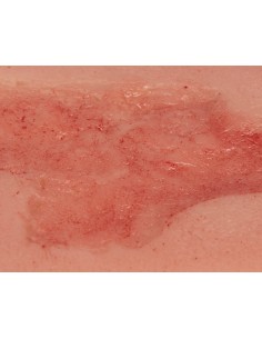 Moulage de uma pequena... 2