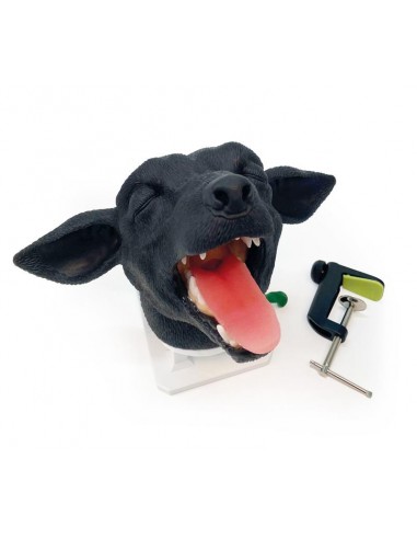 Perna de cão para simulação de...