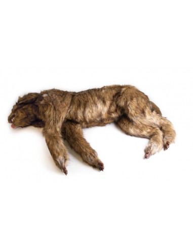 Boneco de cão "Rocky" para simulação...