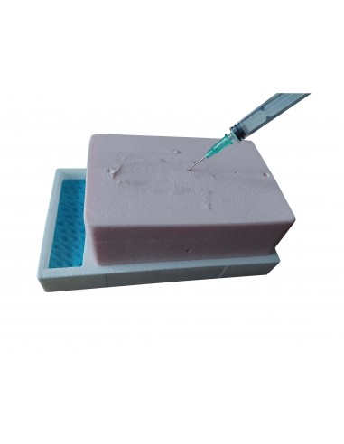 Simulador de injeção do plano fascial...