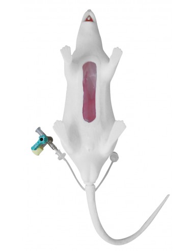 Manicómio de topo Squeekums EZ VET4210