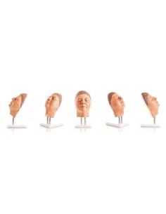 Simulador de injeção facial...