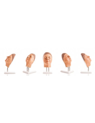 Simulador de injeção facial versão...