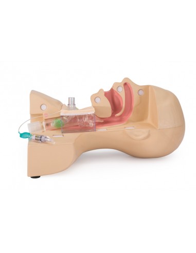 Erler Zimmer LM106 Simulador Médico...