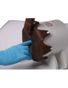 Simulador de exame rectal...