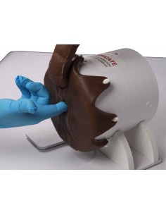 Simulador de exame rectal... 2