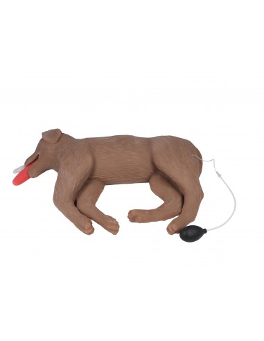 Simulador de treino de RCP para cães...