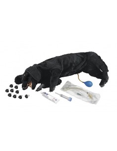 Boneco para cães para...