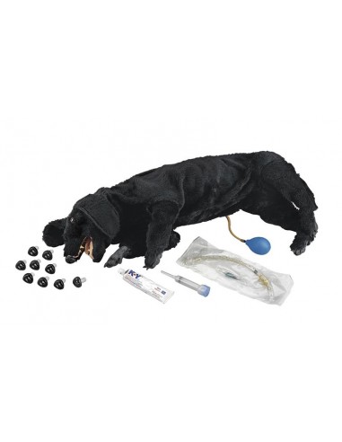 Boneco para cães para treino de...