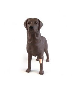 Simulador de cães para...