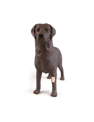 Simulador de cães para formação...