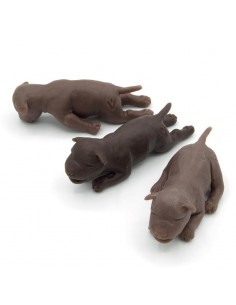 Conjunto de três cachorros...