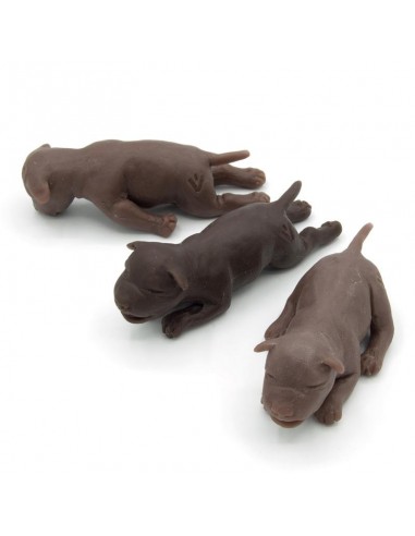 Conjunto de três cachorros para...