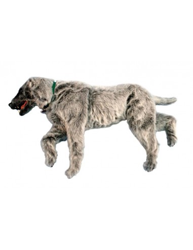Boneco de cão para simulação de...