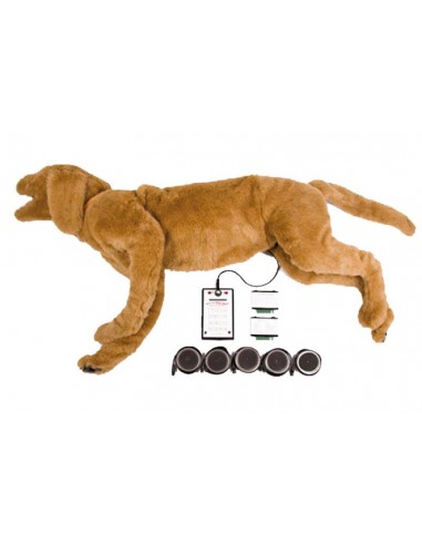 Boneco de cão para simulação de...