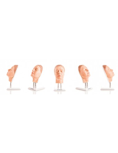Simulador de Injeção Facial Modelo A,...