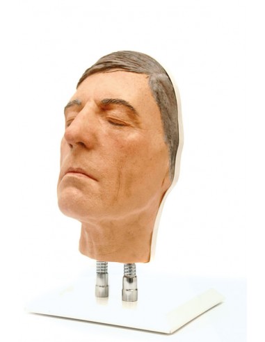 Simulador de Injeção Facial Modelo D,...