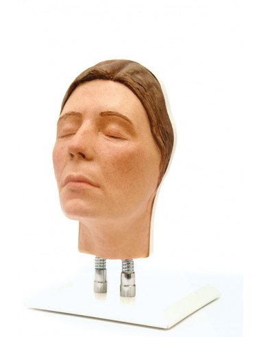 Simulador de Injeção Facial Modelo E,...