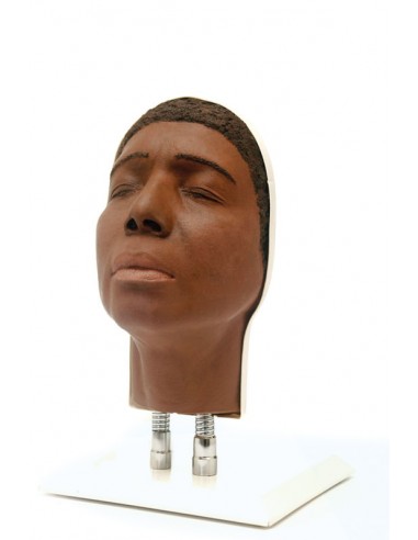 Simulador de Injeção Facial Modelo C,...