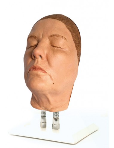 Simulador de Injeção Facial Modelo G,...