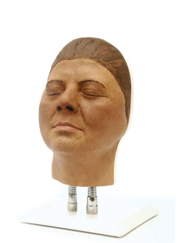 Simulador de Injeção Facial Modelo F,...
