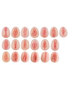 Coleção de 19 modelos de...