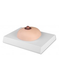Erler Zimmer L281 Simulador...