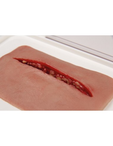 Moulage e simulação de feridas de...