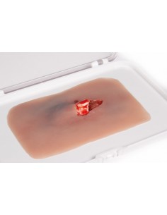 Moulage e simulação de uma...