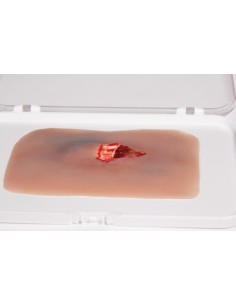 Moulage e simulação de uma... 2