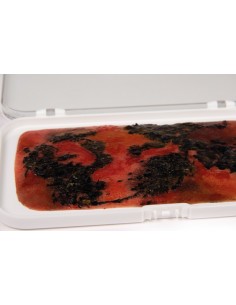 Moulage e simulação de...